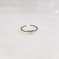 The Dil Nu Ring